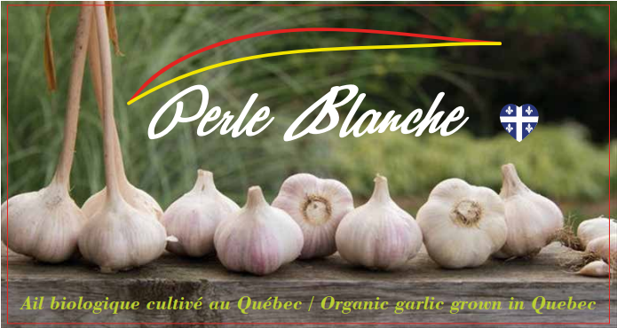 Exposant: Perle Blanche